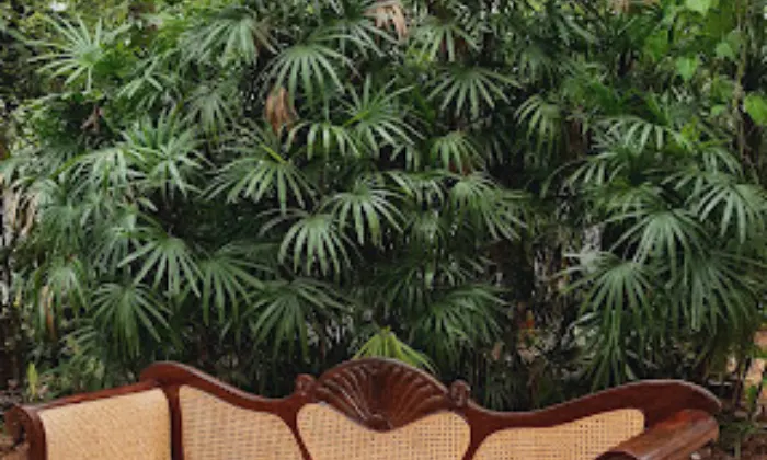 Decoration Zone  Furniture Hirer